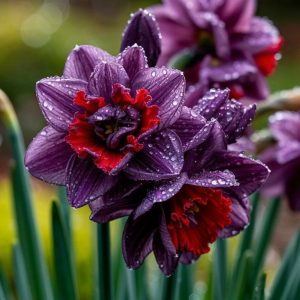 Нарцисс Минт Флер купить по цене от 2000р. в интернет-магазине «Посадика» с доставкой почтой в в Ефремове и по всей России – [изображение №1].